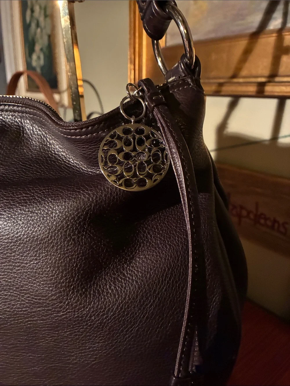 Coach Ali HOBO Slouchy Shoulder Bag in Dark Brown Leather - 13655 - Year 2009